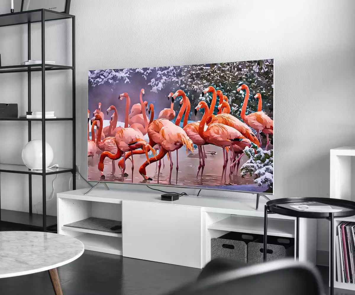 Flamingos in Winter Frame TV Art , Digital Art for Tv, Colorful Art for Frame TV Tropical Bird Decor – Frame TV  Art