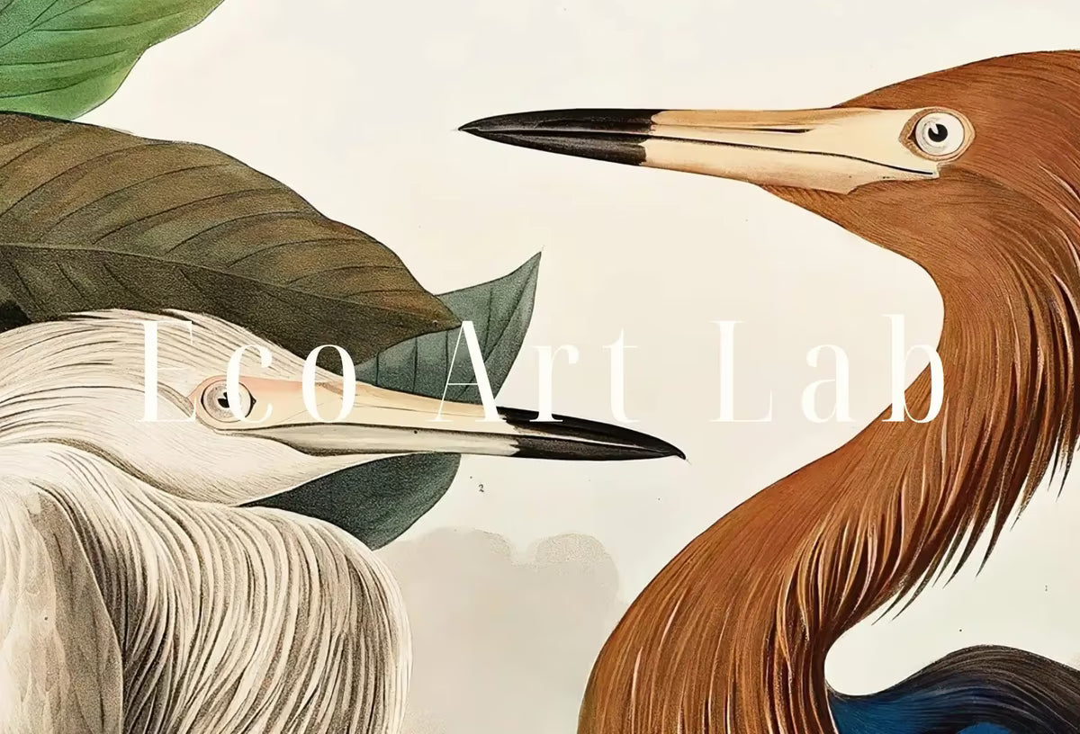 Herons Vintage Tropical Birds Set of 2 Prints. Wildlife Nature Colorful 2 Piece Wall Art. Fine Art Prints. Instant Download. Printable Art – Printable Wall Art Set