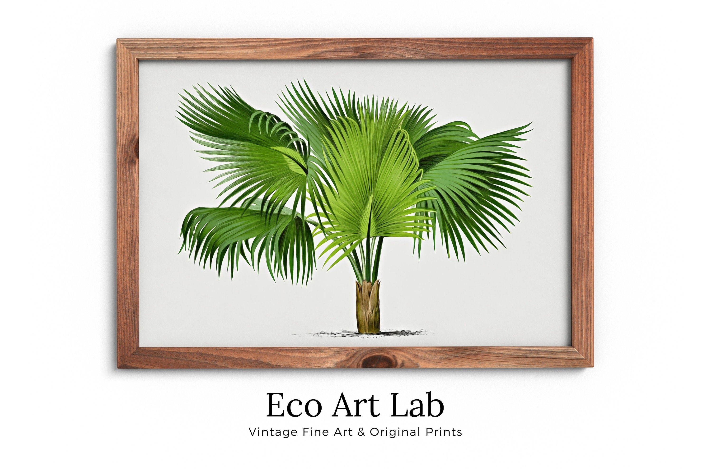 Vintage Palm Tree Print Tropical Wall Art. Palm Leaves Tree Decor, Retro Nature Poster Instant Download Botanical Print, Palm Trees Art #34