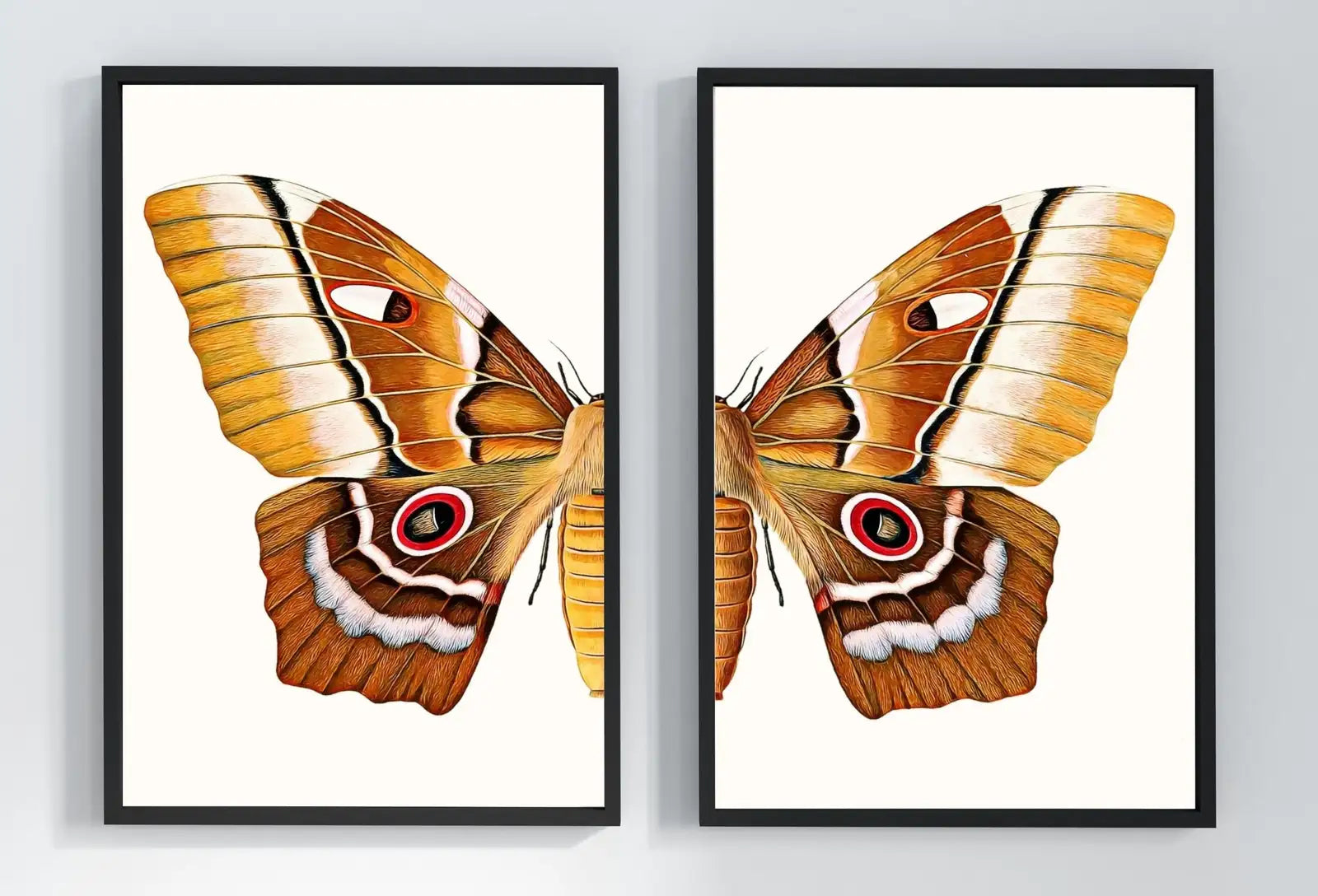 Impression d’insectes, papillons et mites : Deux impressions d’art inspirées de la nature. Idéal pour une décoration botanique.