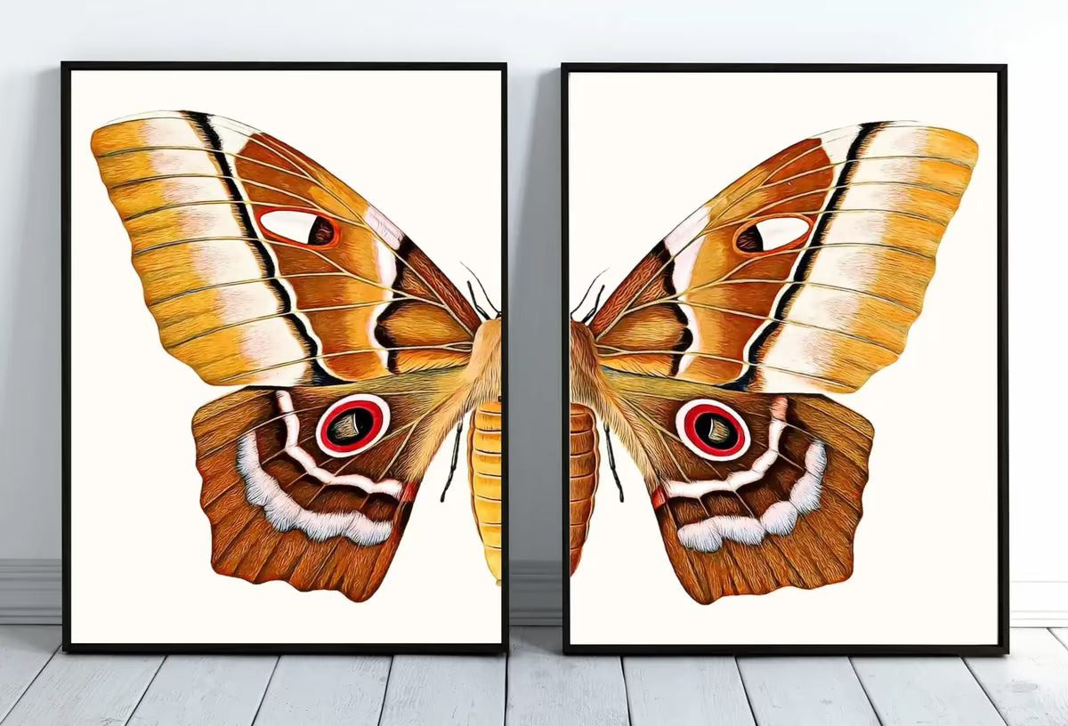 Insect Print, Moth Butterfly Print, Butterfly Set of 2 Prints – Printable Wall Art Set