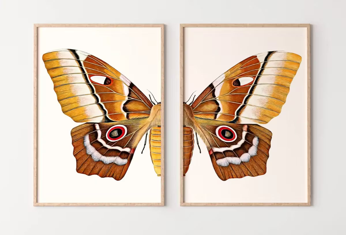 Insect Print, Moth Butterfly Print, Butterfly Set of 2 Prints – Printable Wall Art Set
