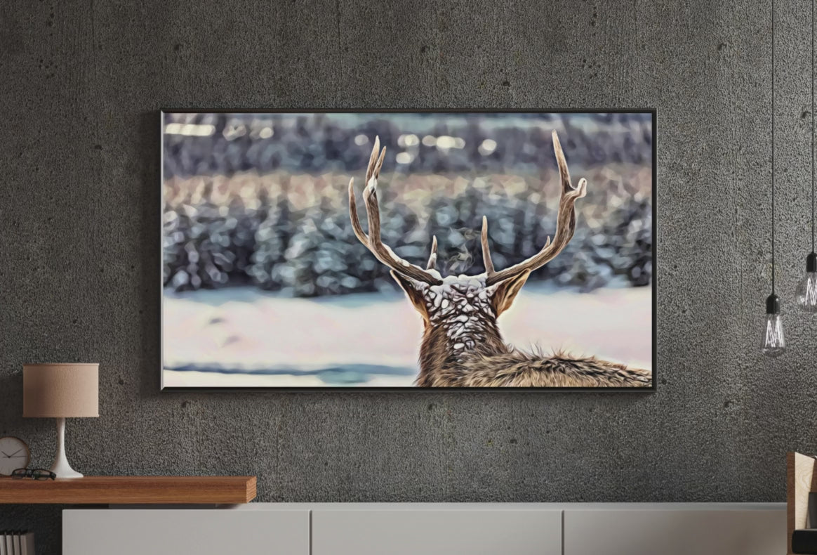 TtIli590-Video for christmas collection 25.mp4 - Product Video