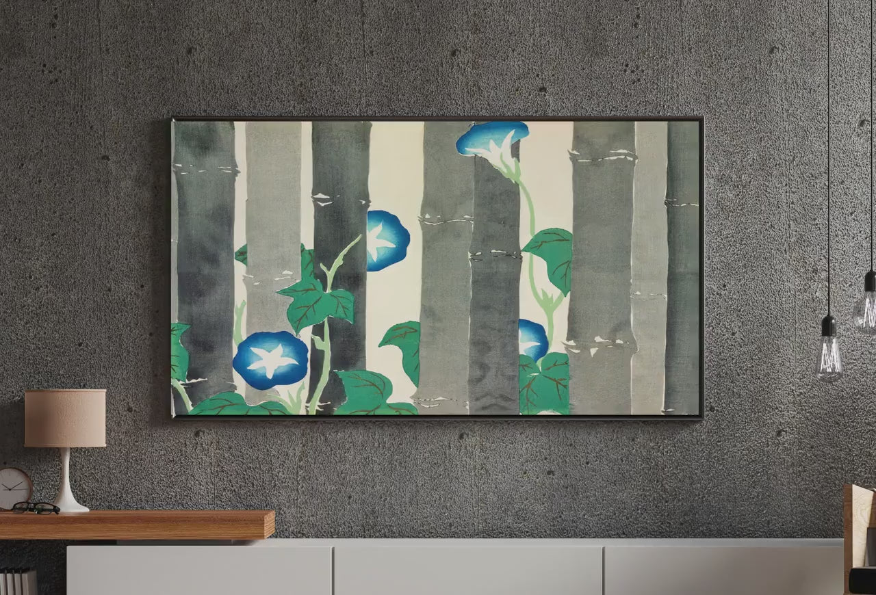 fk2j88vw-Video_for_collections_40_6_zcuib8.mp4 - Product Video