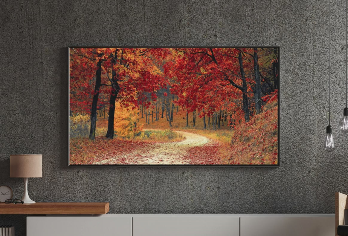 4G1Ni2j3-Video for fall collection 40.mp4 - Product Video