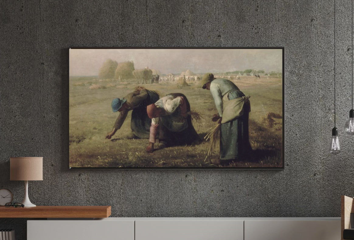 Copy of Must Have 40 FTVC7654657800 set of 40 VIDEO (1).mp4 - Product Video