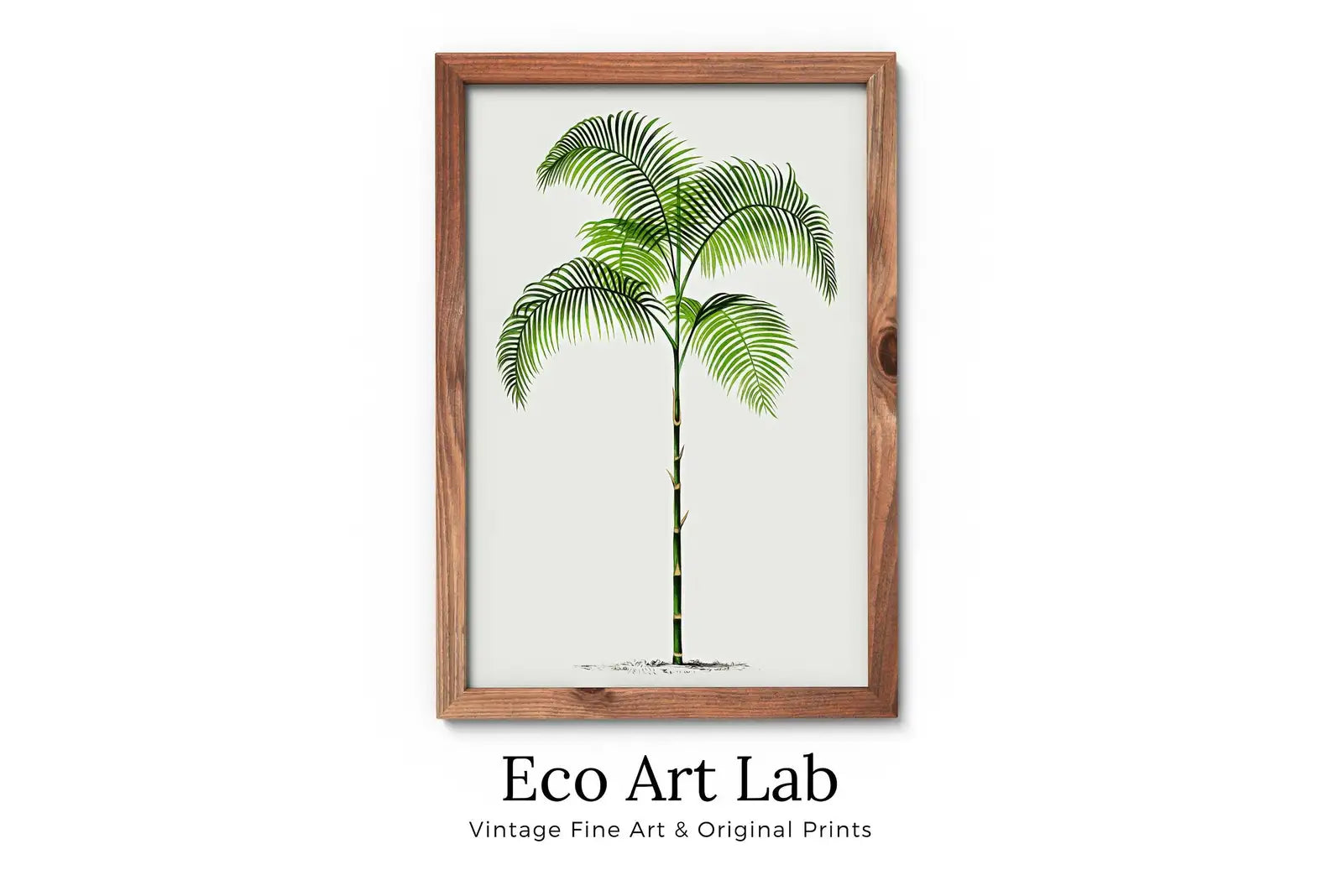 Framed view of Printable Vintage Palm Tree Art. Instant Download Botanical Wall Art Print. Vintage Tropical Poster. Palm Trees Digital Nature Print #27 – printable wall art digital download.