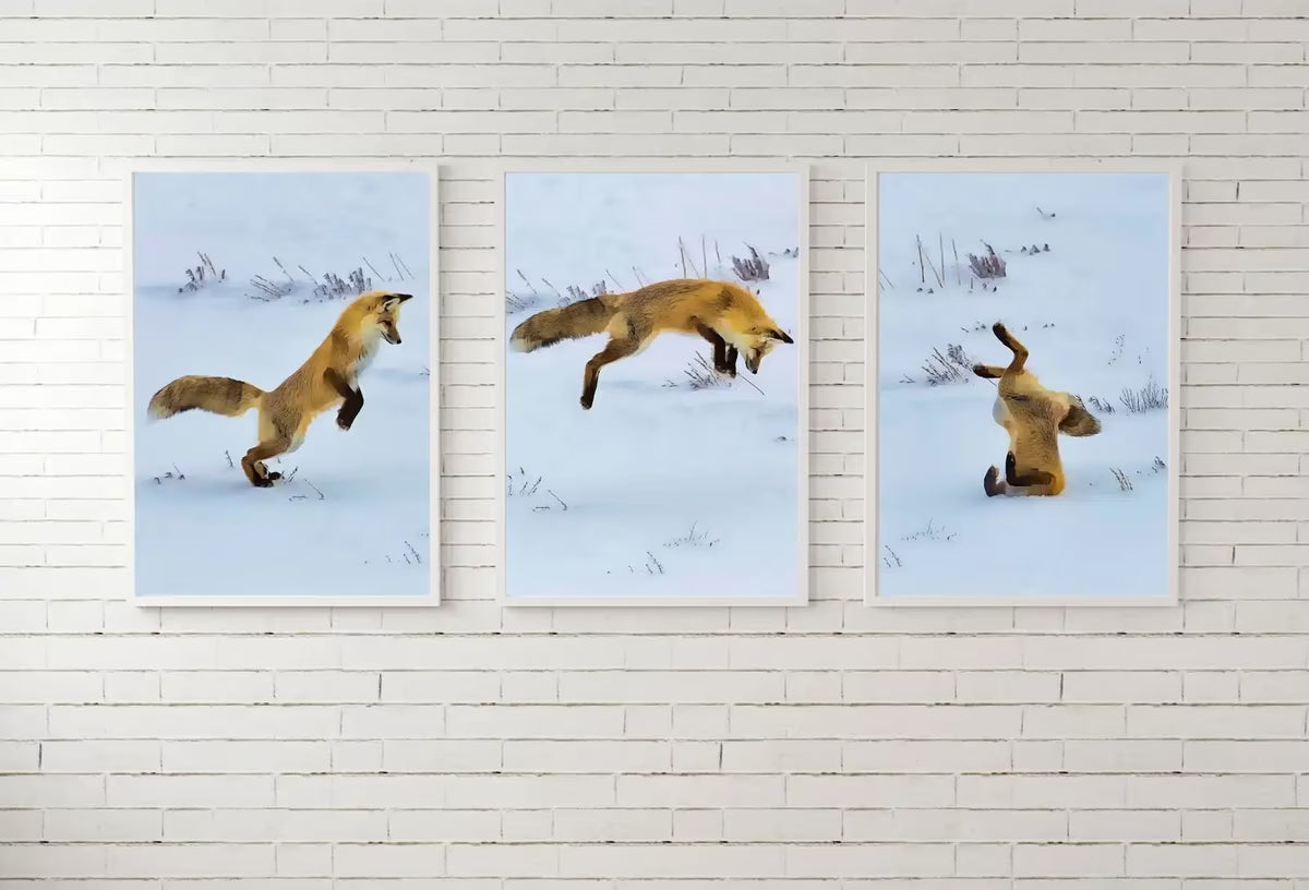 Red Fox Hunting in Snow Set of 3 Prints, Fox Wall Art, Jumping Fox Painting, Set of Three Prints, Gallery Wall Set, Downloadable Prints – Printable Wall Art Set