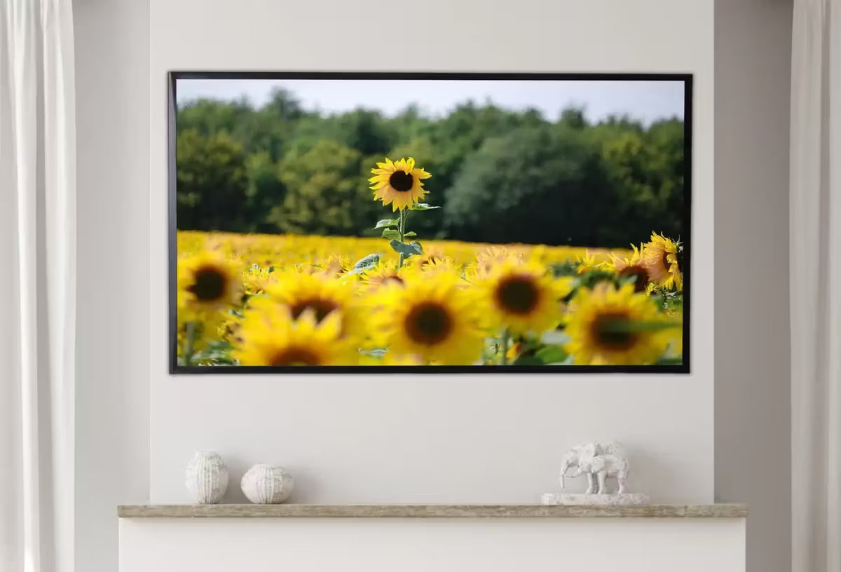 Samsung Frame TV 4K Art Sunflowers Field. Summer Landscape Flowers Photography . Floral Botanical Art Sunflower Decor – Frame TV  Art