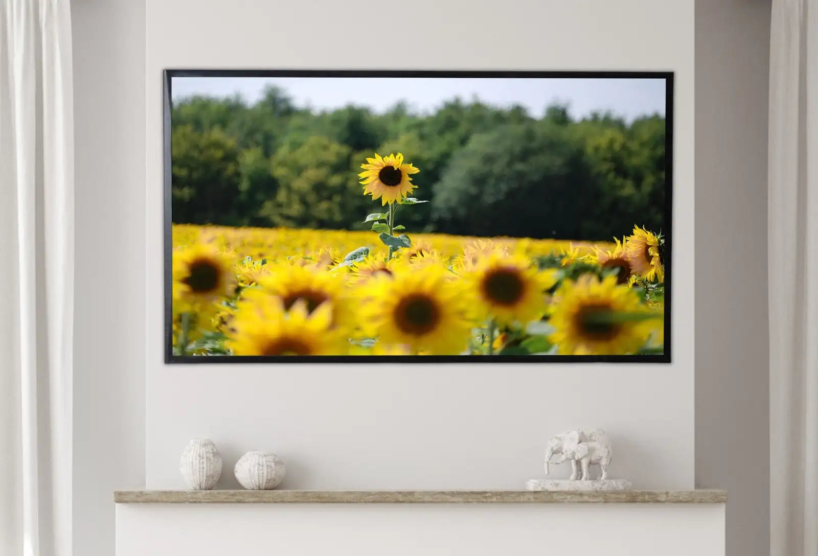 Included artwork preview showing first selection of artworks from Samsung Frame TV 4K Art Sunflowers Field. Summer Landscape Flowers Photography Digital Download. Floral Botanical Art Sunflower Decor.