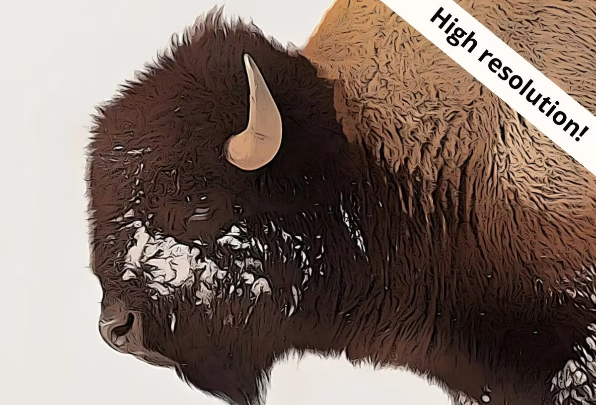 Samsung Frame TV Art 4K Bison Standing in Snow Landscape Digital Painting. Instant Download Buffalo Art for the Samsung Frame TV. Art for TV – Frame TV  Art