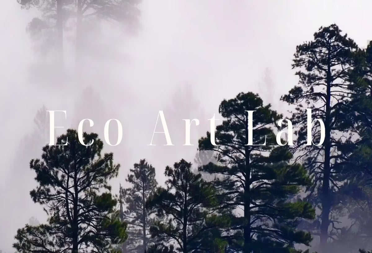 Samsung Frame TV Art 4K Misty Forest. Foggy Woodland Landscape Nature Wall Art. Instant Download Forest Digital Art. Trees Art for Frame TV – Frame TV  Art