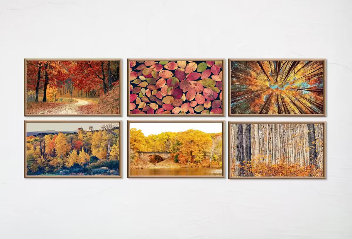 Set of 15 Samsung Frame TV 4K Art. Fall Wall Art Nature Digital Collection. Autumn Decor TV Art Set. Instant Download Frame TV Art. – Frame TV Art Set