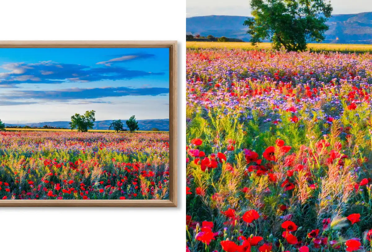 Detail view of artwork from Set of 15 Samsung Frame TV 4K Art. Spring Wall Art Nature Digital Collection. Vintage Spring Decor TV Art Set. Instant Download Frame TV Art. (variation 4)
