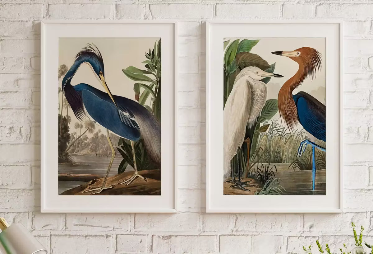 Set of 2 Prints Herons Vintage Tropical Birds. Wildlife Nature Colorful 2 Piece Wall Art. Fine Art Prints. Instant Download. Printable Art – Printable Wall Art Set