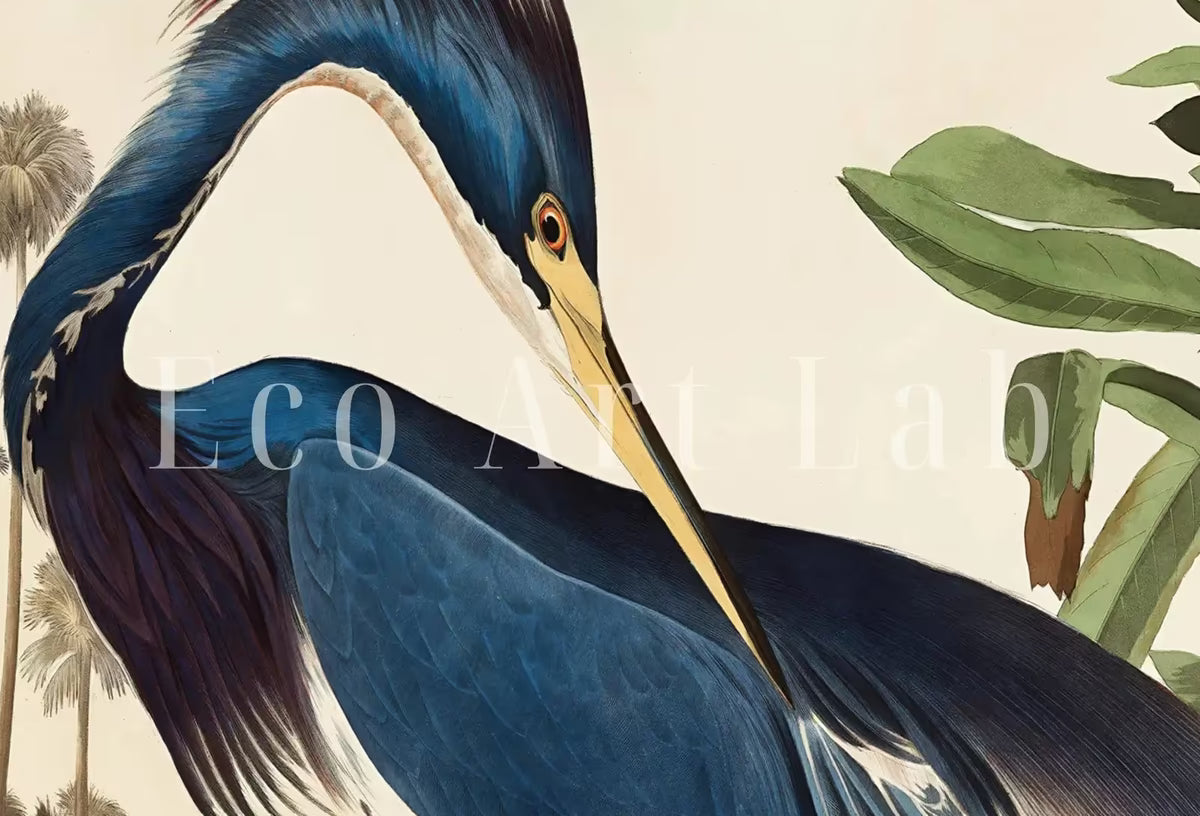 Set of 2 Prints Herons Vintage Tropical Birds. Wildlife Nature Colorful 2 Piece Wall Art. Fine Art Prints. Instant Download. Printable Art – Printable Wall Art Set