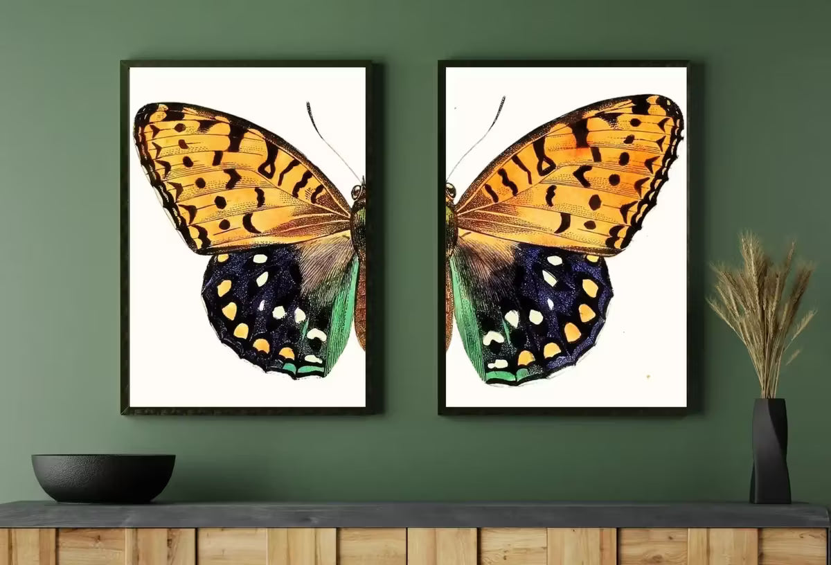 Vintage Butterfly Print, Butterfly Wall Art, Insect Art Nature Phototgraphy, Retro Antique Illustration, Printable Wall Art Set of 2 Prints – Printable Wall Art Set