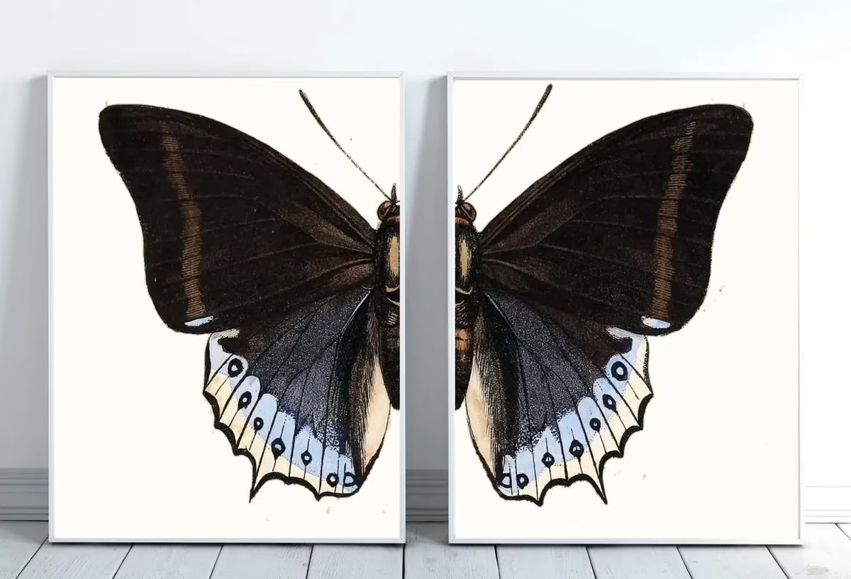 Vintage Butterfly Set of 2 Prints Butterfly Wall Art, Insect Art Nature Painting, Retro Antique Illustration Printable Wall Art Insect Print – Printable Wall Art Set