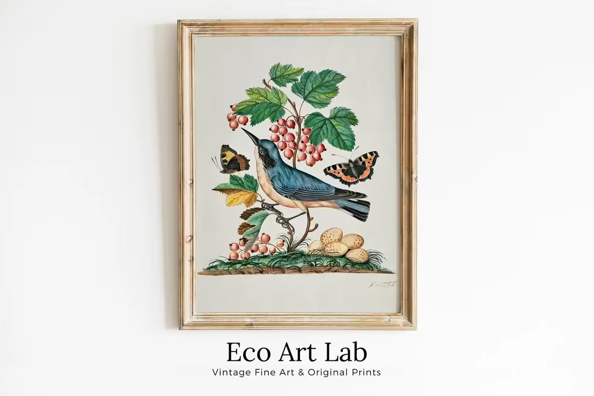 Warbler Wall Art Poster Vintage Butterfly Print, Botanical Prints Flowers and Bird Decor, Flower Market Print, Digital Printable Wall Art – Printable Wall Art