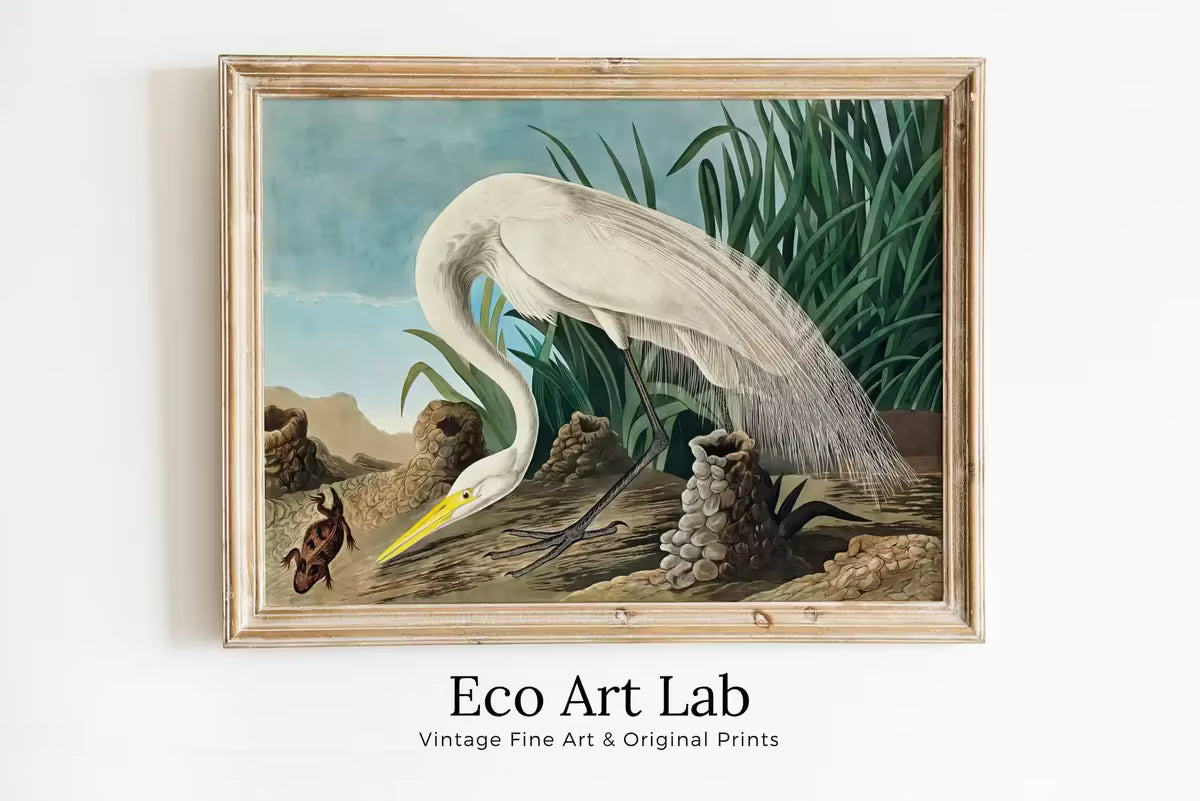 White Heron Vintage Tropical Bird Printable Wall Art. Wildlife Nature Colorful Tropical Bird Decor. Instant Download. Bird Poster Art Print – Printable Wall Art