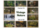 Forest Paintings Nature Wall Art - Samsung Frame TV Art - Vintage oil Paintings Set of 40