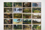 Forest Paintings Nature Wall Art - Samsung Frame TV Art - Vintage oil Paintings Set of 40
