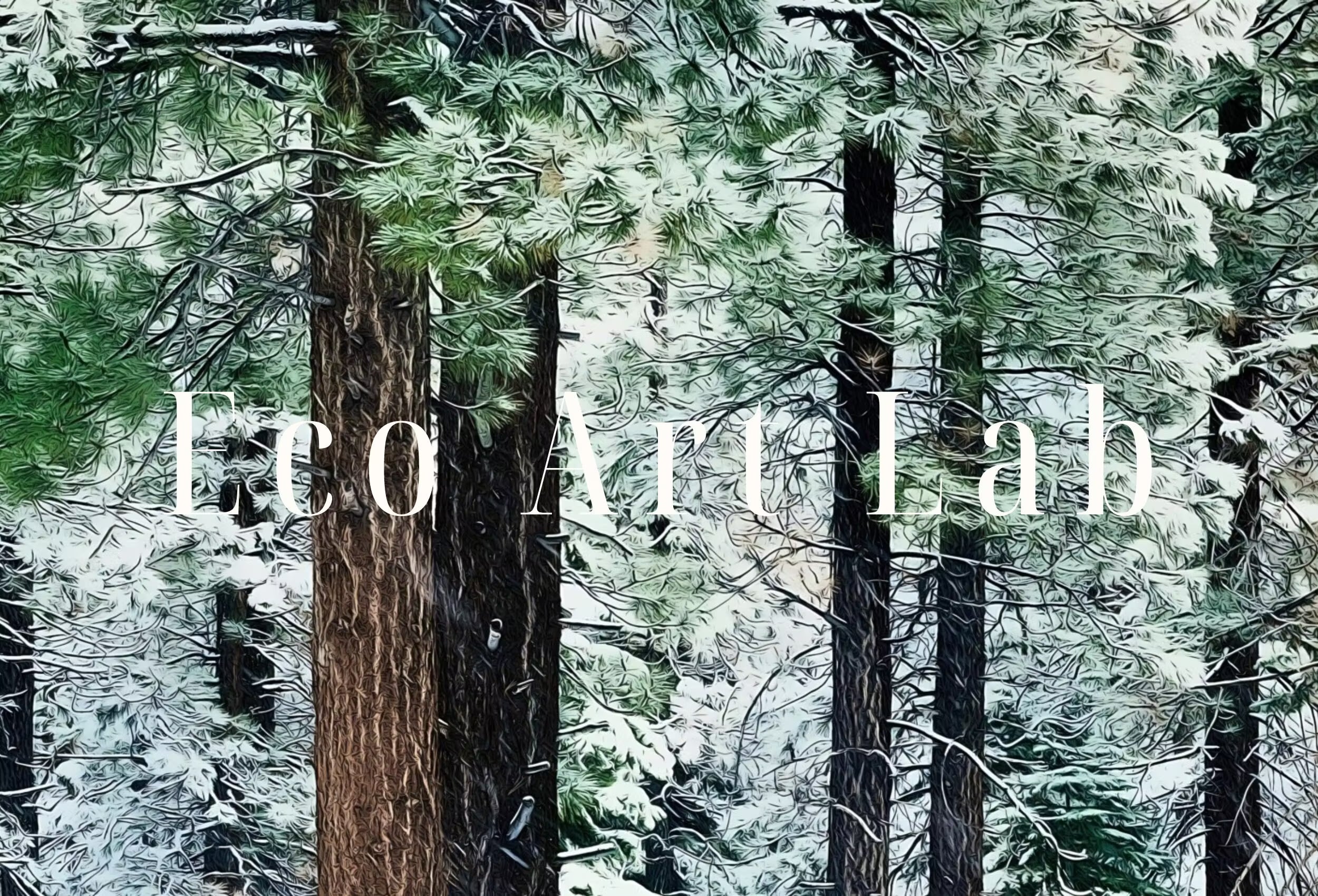 Snowy Winter Forest Print. Printable Art. Christmas Wall Art