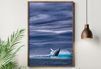 Humpback Whale Art Digital Painting Printable Wall Art. Instant Download Ocean Art, Digital Print Whale Poster. Whale Art Print