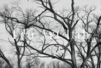 Abandoned Haunted House Halloween Print. Halloween Printable Wall Art. Scary Halloween Painting. Instant Download Art Print. Fall Decor – Printable Wall Art Digital Download – Digital Download