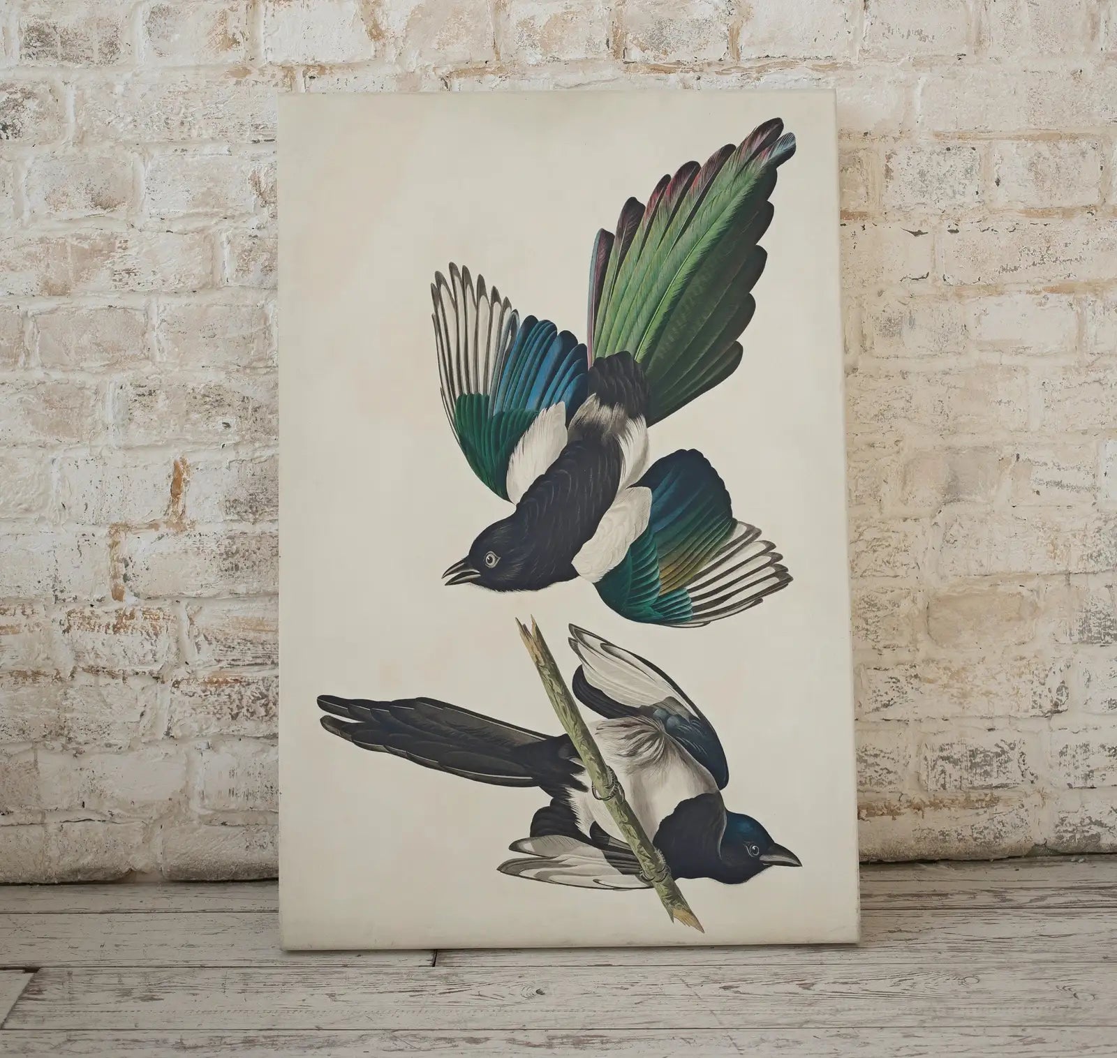 Second included artwork preview from American Magpie Vintage Bird Painting Printable Wall Art. Wildlife Nature Colorful Tropical Decor. Instant Download. Bird Poster Art Print featuring various scenes.