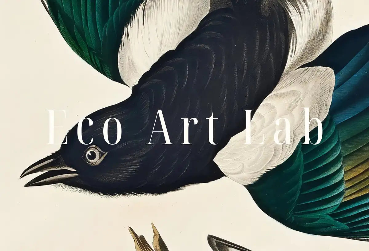 Detail view of artwork from American Magpie Vintage Bird Painting Printable Wall Art. Wildlife Nature Colorful Tropical Decor. Instant Download. Bird Poster Art Print. (variation 2)