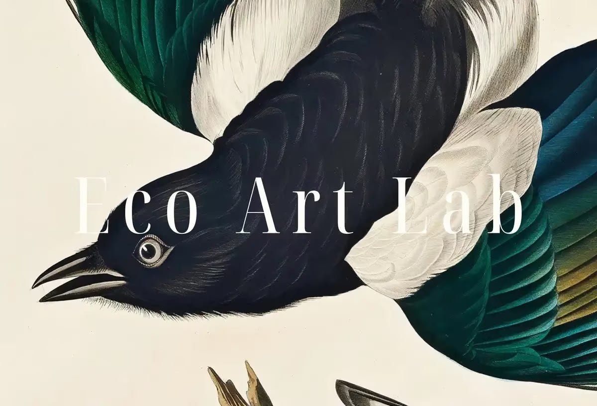 American Magpie Vintage Bird Painting Printable Wall Art. Wildlife Nature Colorful Tropical Decor. Instant Download. Bird Poster Art Print – Printable Wall Art