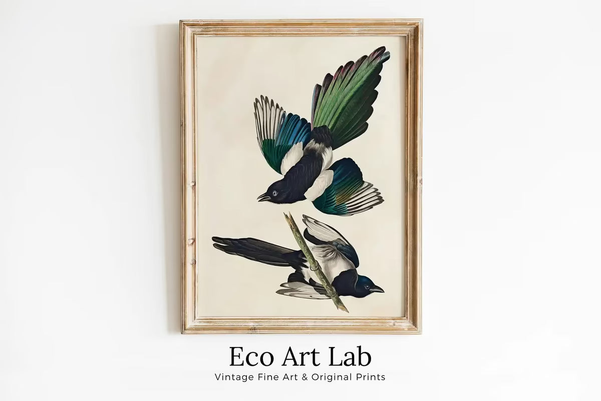 American Magpie Vintage Bird Painting Printable Wall Art. Wildlife Nature Colorful Tropical Decor. Instant Download. Bird Poster Art Print – Printable Wall Art