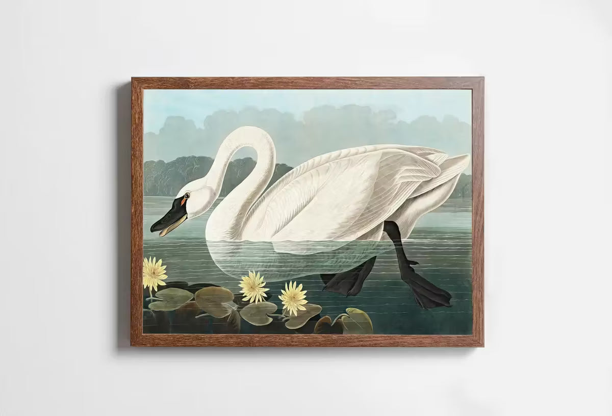 American Swan Vintage Tropical Bird Printable Wall Art. Wildlife Nature Colorful Tropical Bird Decor. Instant Download Bird Poster Art Print – Printable Wall Art