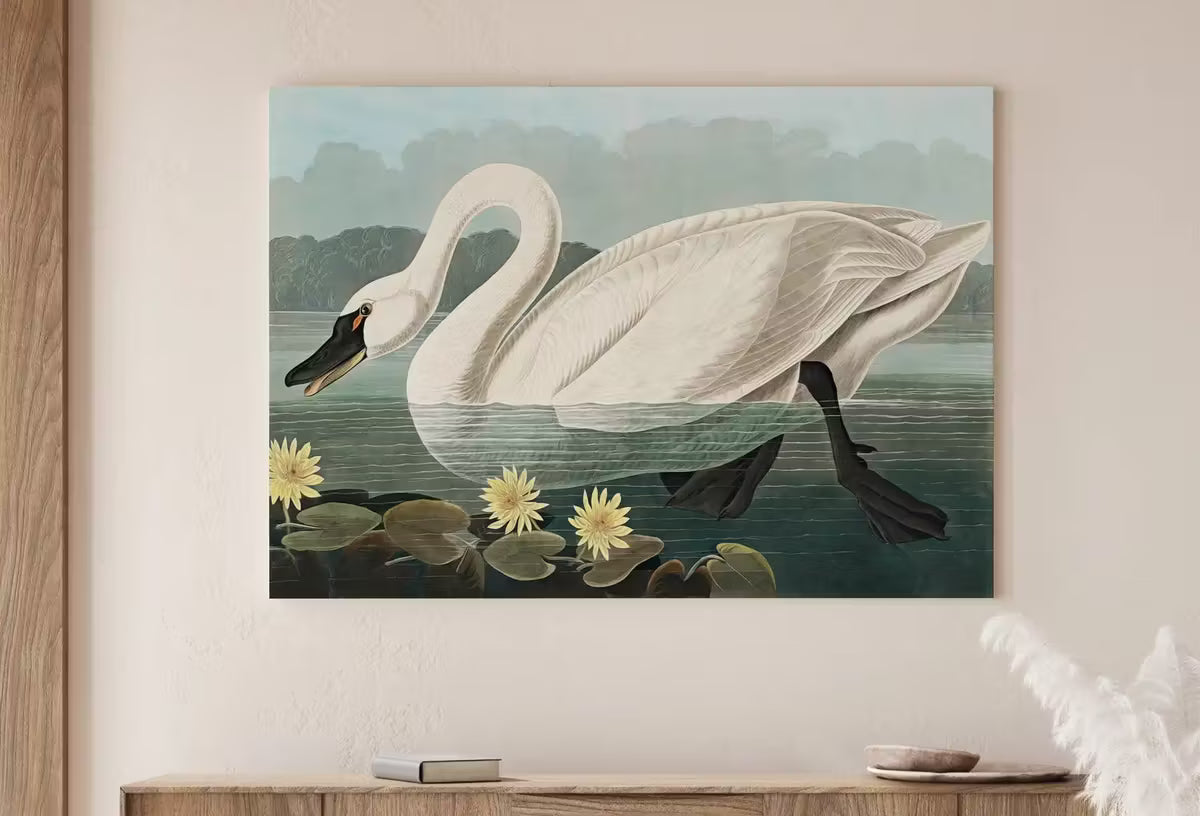 American Swan Vintage Tropical Bird Printable Wall Art. Wildlife Nature Colorful Tropical Bird Decor. Instant Download Bird Poster Art Print – Printable Wall Art