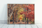 Included artwork preview showing first selection of artworks from Autumn Landscape Forest Trail Digital Painting. Printable Fall Wall Art, for Home or Office Decor. Nature Print Digital Art Instant Download.