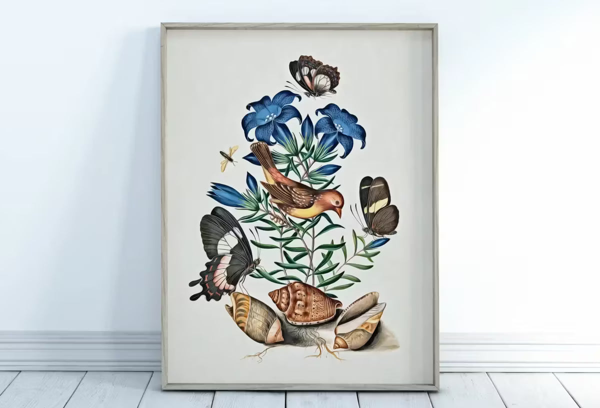 Bird, Butterfly, Flowers and Shells Wall Art Poster, Vintage Butterfly Print, Botanical Prints, Printable Wall Art Decor Flower Market Print – Printable Wall Art
