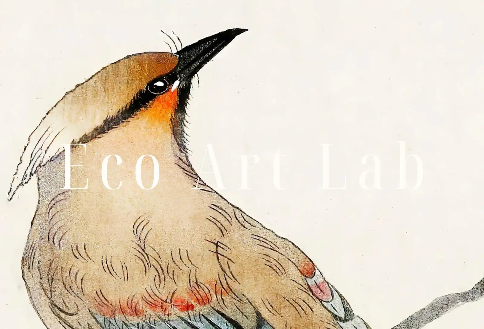 Second included artwork preview from Bird on Maple Tree Vintage Japanese Painting. Japanese Wall Art Printable Poster. 20th Century Japanese Vintage Spring Wall Art, Bird Art featuring various scenes.