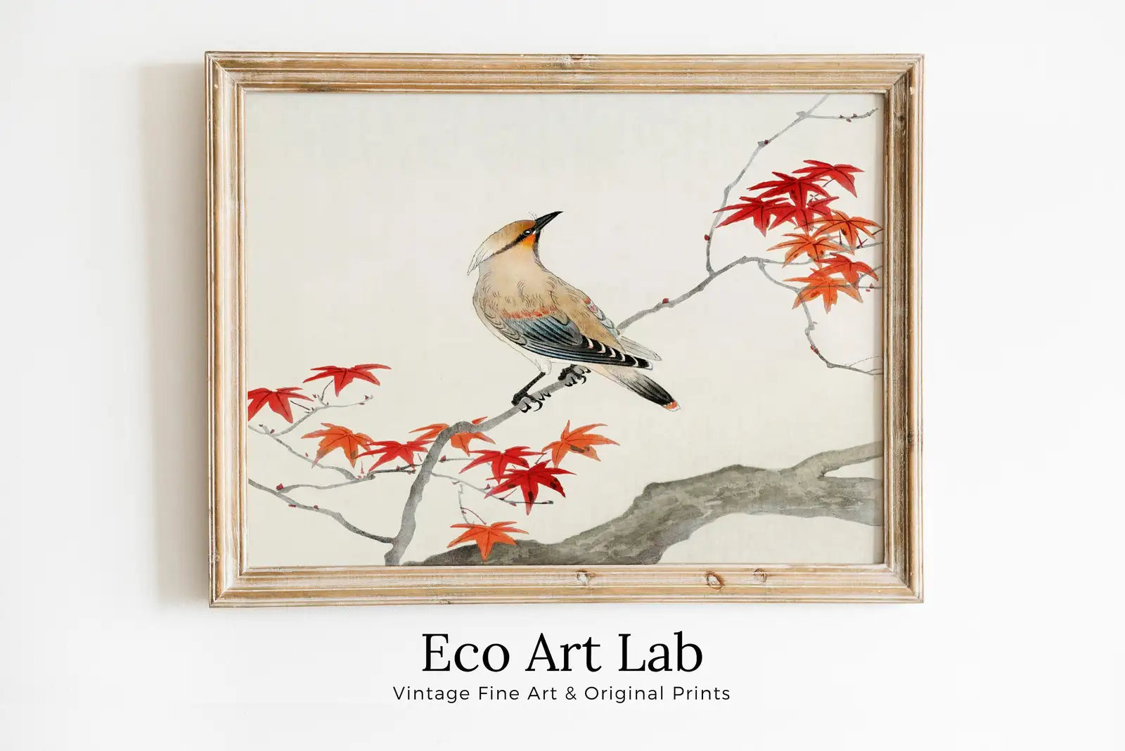 Framed view of Bird on Maple Tree Vintage Japanese Painting. Japanese Wall Art Printable Poster. 20th Century Japanese Vintage Spring Wall Art, Bird Art – printable wall art digital download.
