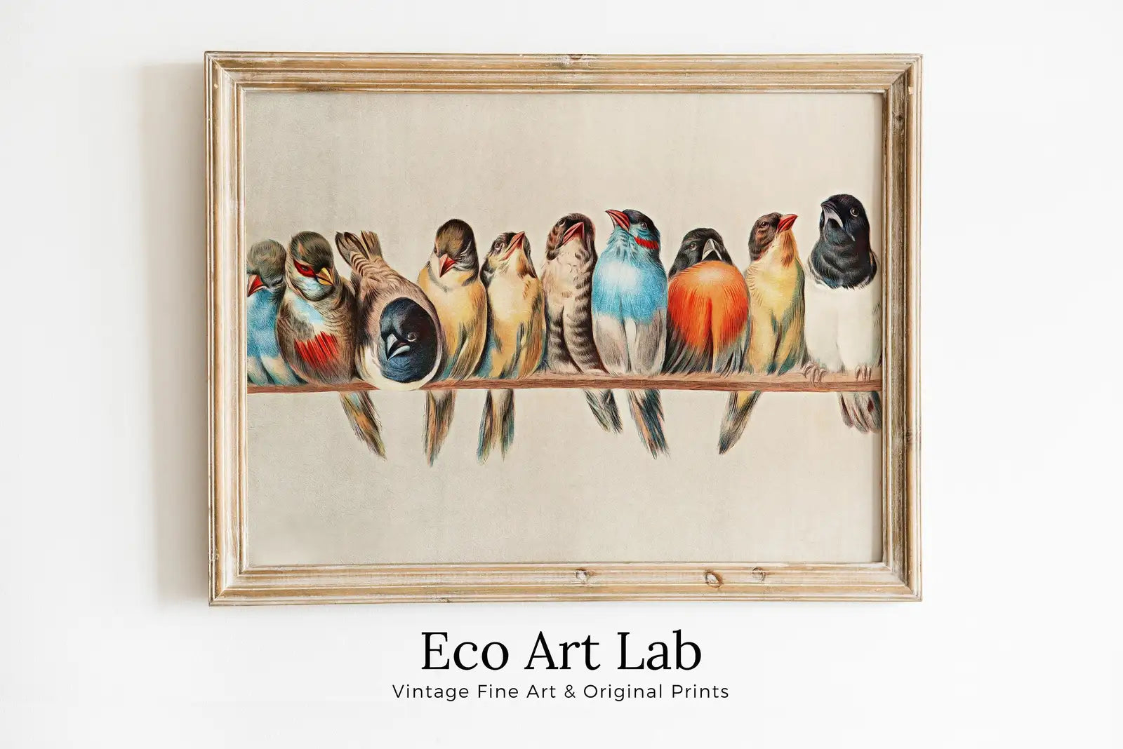 Framed view of Birds Perched on Branch Vintage Painting. Instant Download Printable Wall Art. Bird Painting. Birds Decor Wall Art Prints. Birds Poster #1 – printable wall art digital download.