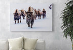 Second included artwork preview from Bison Buffalo Digital Art. Nature Prints. Animal Art Print. Printable Bison Poster Wall Art Photography featuring various scenes.