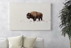 Bison In Snow Wall Art Digital Painting, Buffalo Print, Winter Art Animal Poster, Printable Wall Art Bison Buffalo Wall Art Instant Download – Printable Wall Art