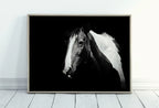 Included artwork preview showing first selection of artworks from Black and White Wall Art Horse Photography Print. Digital Download, Printable Horse Art, Black and White Horse Photo, Large Wall Art Print.