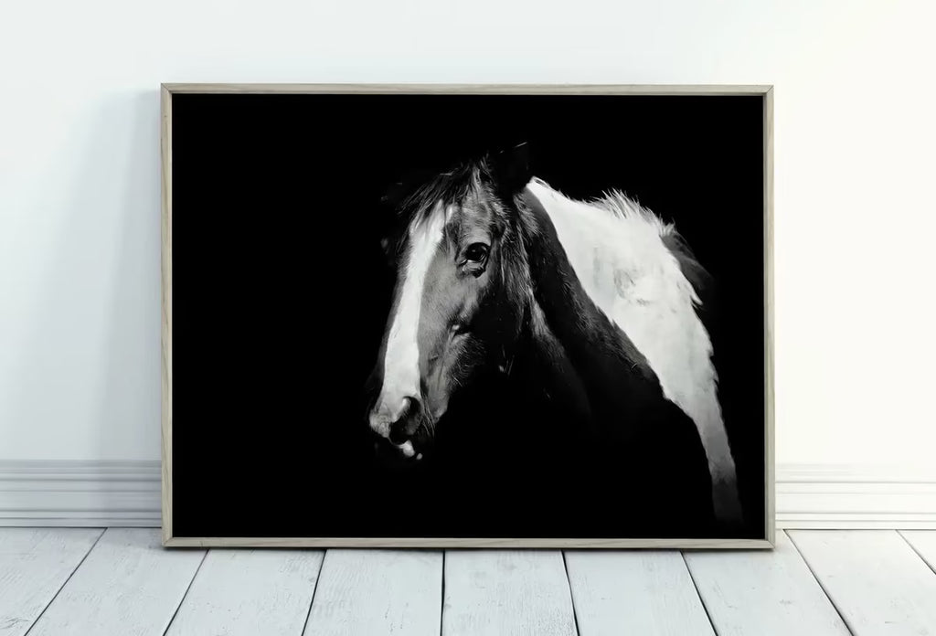Black and White Wall Art Horse Photography Print. , Printable Horse Art, Black and White Horse Photo, Large Wall Art Print – Printable Wall Art