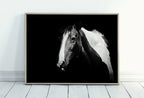 Black and White Wall Art Horse Photography Print. , Printable Horse Art, Black and White Horse Photo, Large Wall Art Print – Printable Wall Art