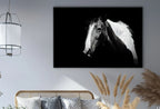 Second included artwork preview from Black and White Wall Art Horse Photography Print. Digital Download, Printable Horse Art, Black and White Horse Photo, Large Wall Art Print featuring various scenes.