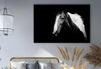 Black and White Wall Art Horse Photography Print. , Printable Horse Art, Black and White Horse Photo, Large Wall Art Print – Printable Wall Art