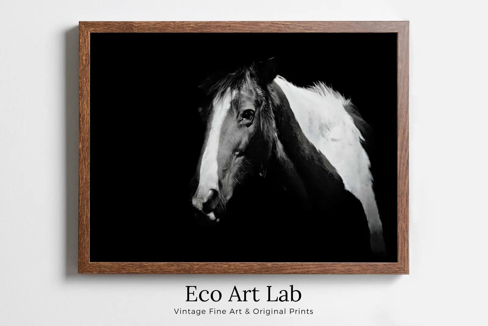 Framed view of Black and White Wall Art Horse Photography Print. Digital Download, Printable Horse Art, Black and White Horse Photo, Large Wall Art Print – printable wall art digital download.