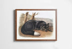 Included artwork preview showing first selection of artworks from Black Fox Wall Art, Vintage Painting. Vintage Animal Print. Printable Wall Art, Digital Download. Woodland Forest Art. Nature Print.
