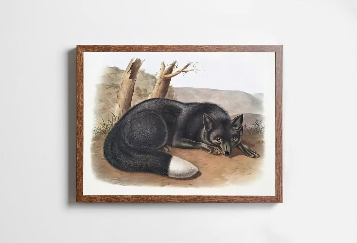 Black Fox Wall Art, Vintage Painting. Vintage Animal Print. Printable Wall Art, . Woodland Forest Art. Nature Print – Printable Wall Art